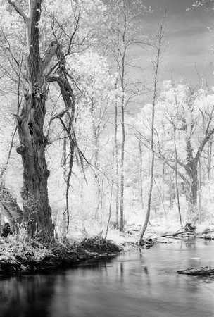 Old Erie Canal Infrared